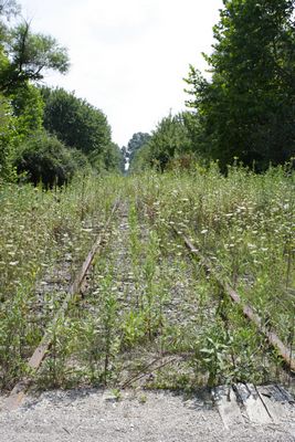 Track south of Jackson